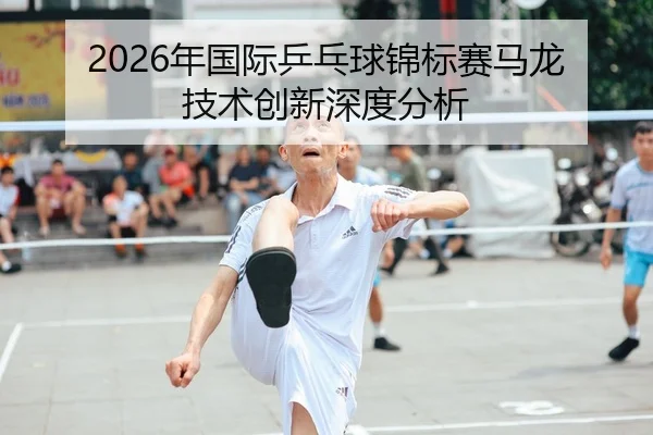 nian-guo-ji-ping-pang-qiu-jin-biao-sai-ma-long-ji-shu-chuang-xin-shen-du-fen-xi-2-384.jpg