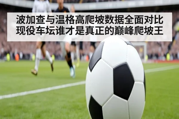 波加查与温格高爬坡数据全面对比现役车坛谁才是真正的巅峰爬坡王